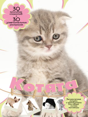 cover image of Котята